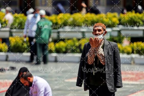 زائر حرم امام رضا