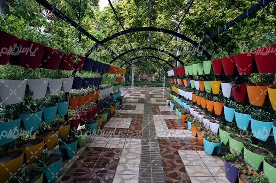 هوای بارانی