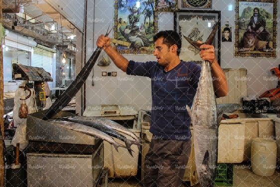 تصاویر بازار ماهی فروشان بوشهر