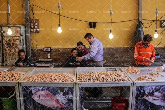 تصویر بازار ماهی فروشان بوشهر