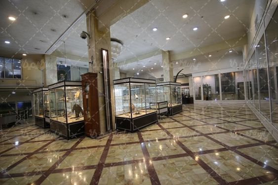 موزه آستان قم
