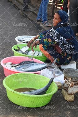 ماهی فروش (قشم)