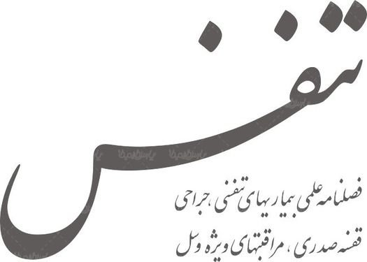 لوگو آرم فصلنامه علمی تنفس