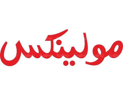 لوگو آرم نمایندگی مولینکس