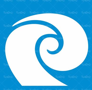 لوگو آرم شرکت تولیدی بهداشتی پاکوش