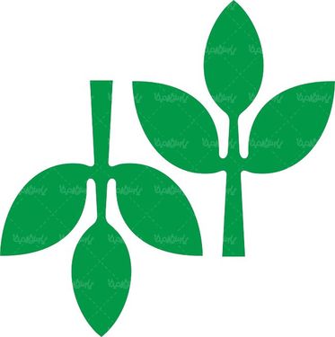 لوگو آرم شرکت کادکشت