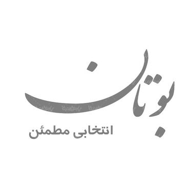 لوگو آرم شرکت صنعتی بوتان