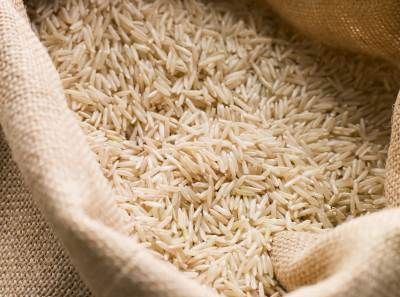 برنج کشاورزی صادرات خشکبار