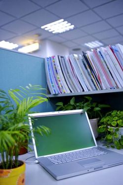 لپ تاپ گل و گیاه کتابخانه