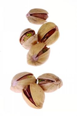 دامغان پسته سوغات