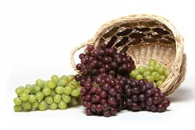 سبد انگور