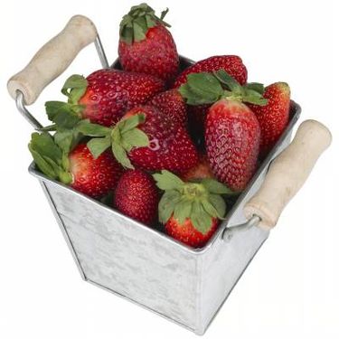 باغداری توت فرنگی