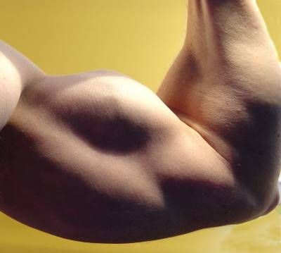  پرورش اندام بدنسازی بازو