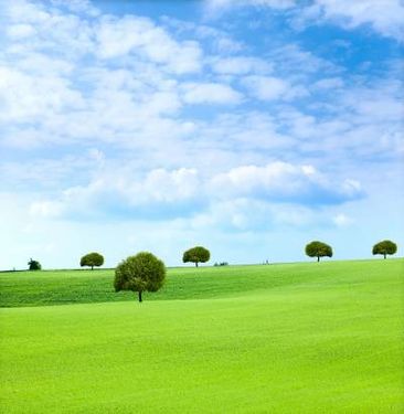 منظره طبیعت آسمان درخت محیط زیست