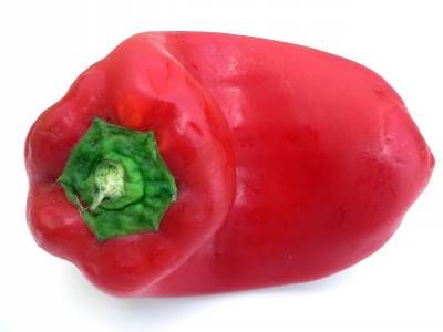 فلفل چاشنی 4