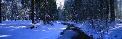 منظره طبیعت زمستان رود برف جنگل 2