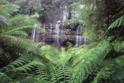 طبیعت منظره آبشار جنگل 1
