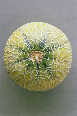 طالبی میوه میوه فروشی