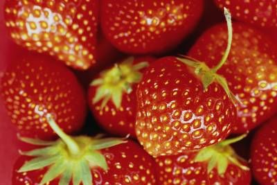 میوه توت فرنگی