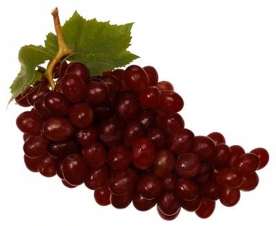 میوه انگور قرمز باغبانی