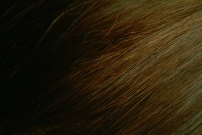 مو کلاه گیس 