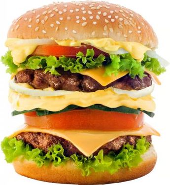 ساندویچ همبرگر مخصوص