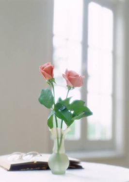 گلدان گل دکور