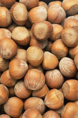 خشکبار فندق 2