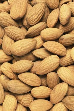 خشکبار بادام مغز بادام 4  