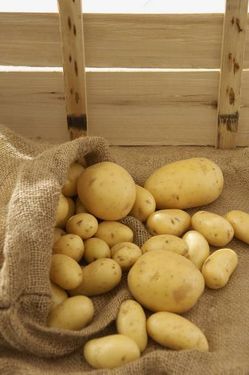 کیسه سیب زمینی