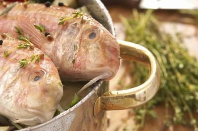 ماهی سبزی غذای دریایی