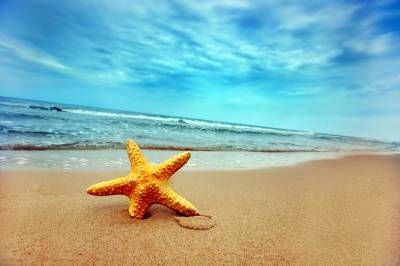 ساحل ستاره دریایی