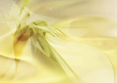 بک گراند کاور کاربردی زرد طلایی