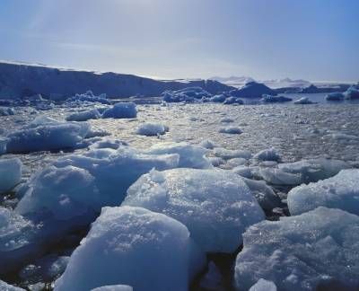 قطب شمال یخ اقیانوس 1