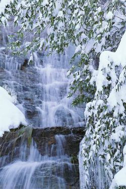آبشار درخت برف منظره طبیعت