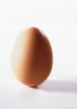 تخم مرغ پروتئین مرغداری 1