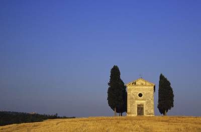 منظره کلیسا درخت