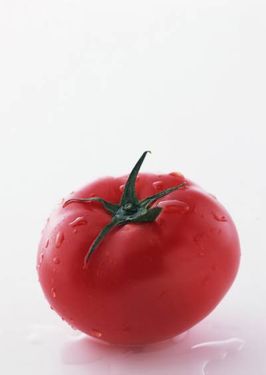رب گوجه فرنگی چاشنی کشاورزی 2