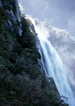 منظره طبیعت جنگل کوه آبشار