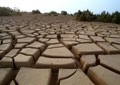 کویر خار بیابان خشک تابستان