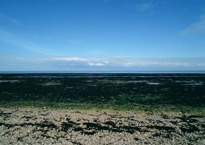 منظره دریاچه جلگه جلبک