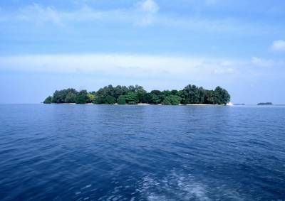 منظره جزیره دریا اقیانوس درخت