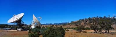 درخت رادار ماهواره