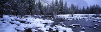 جنگل رودخانه زمستان برف سرما 1