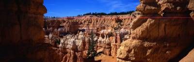 جنگل درخت کوه دره