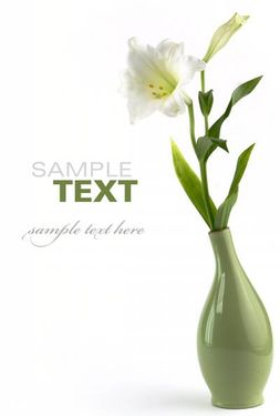 کارت پستال گلدان