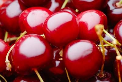 آلبالو میوه فروشی مربا