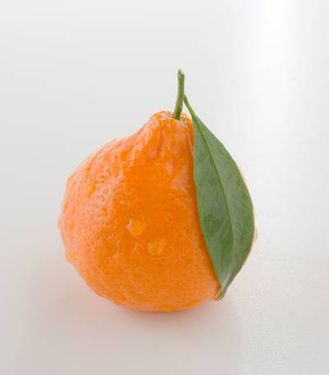نارنگی میوه پرتقال میوه فروشی