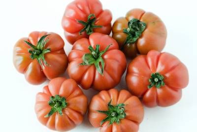 گوجه فرنگی کشاورزی محصول 2