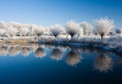 زمستان دریاچه منظره طبیعت سرما